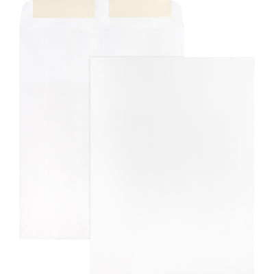 Business Source 28 lb. White Catalog Envelopes, 250 / Box, BSN42102