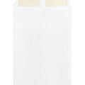 Business Source 28 lb. White Catalog Envelopes, 250 / Box, BSN42102