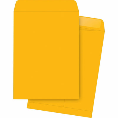 Business Source Durable Kraft Catalog Envelopes, 250 / Box, BSN42104