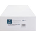 Business Source 2-sided Inter-Department Envelopes, Kraft, 100 / Box, BSN42255