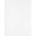 Business Source Self Sealing Catalog Envelope, White, 100 / Box, BSN65450