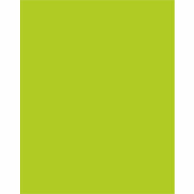 Dixon Ticonderoga UCreate Neon Poster Board, Hot Lime, 25 / Carton, PAC5411-1