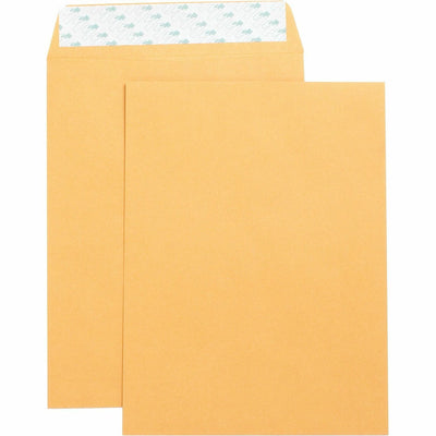 Business Source Self Adhesive Kraft Catalog Envelopes, Brown Kraft, 1 Box — view 1