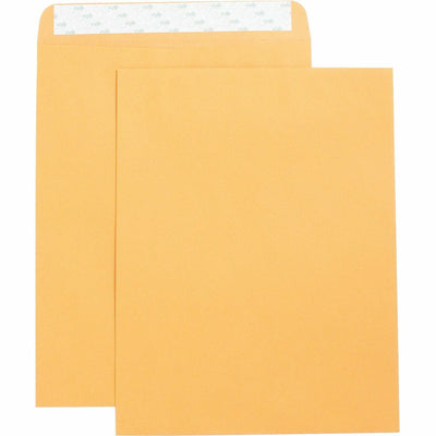 Business Source Self Adhesive Kraft Catalog Envelopes, Brown Kraft, 1 Box — view 1