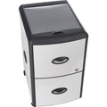 ERA Group Storex Deluxe File Cabinet - 2-Drawer, Aluminum, STX61352U01C