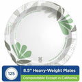 Georgia Pacific . Dixie Ultra Pathways 8-1/2" Heavyweight Paper Plates by GP Pro, White, 4 / Carton, DXESXP9PATHCT