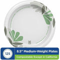 Georgia Pacific . Dixie Pathways 9" Medium-weight Paper Plates by GP Pro, White, 8 / Carton, DXEUX9PATH