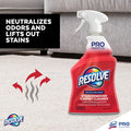 Reckitt Benckiser plc Professional RESOLVE Spot & Stain Carpet Cleaner, RAC97402