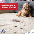 Reckitt Benckiser plc Professional RESOLVE Spot & Stain Carpet Cleaner, RAC97402