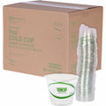 Eco-Products 9 oz GreenStripe Cold Cups, Clear, 20 / Carton, ECOEPCC9SGS
