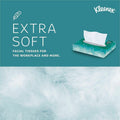 Kimberly-Clark Kleenex Professional Facial Tissue in Flat Tissue Boxes, White, 64 / Carton, KCC21195