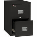 FireKing Security Patriot Series 2-Drawer Vertical Files, Black, FIR2P1825CBL