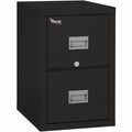 FireKing Security Patriot Series 2-Drawer Vertical Files, Black, FIR2P1825CBL