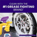 Procter & Gamble Dawn Professional HD Degreaser, Purple, 1 Carton, PGC04852
