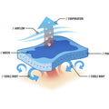 Tenacious Ergodyne Chill-Its 6602 Evaporative Cooling Towel, Blue, EGO12420