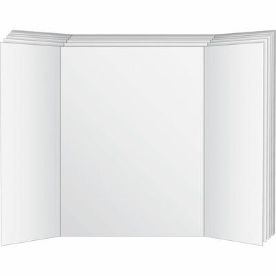 Geographics Royal Brites Project Board, 6 / Carton, GEO26790