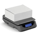 Brecknell PS25 Electronic Scale, Gray, SBWPS25GRAY