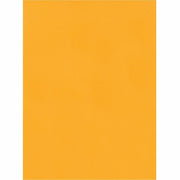 Quality Park 9 x 12 Hi Bulk Catalog Envelopes with Self-Seal Closure, 1 Box
