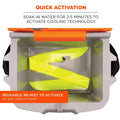 Tenacious Holdings Ergodyne Evaporating Cooling Bandana, Lime, EGO12301