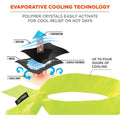 Tenacious Holdings Ergodyne Evaporating Cooling Bandana, Lime, EGO12301