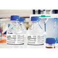 Avery UltraDuty™ GHS Chemical Labels 2" x 4", for Laser Printers, White, 500 / Box, AVE60505