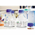 Avery UltraDuty™ GHS Chemical Labels 2" x 4", for Laser Printers, White, 500 / Box, AVE60505