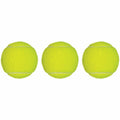 Champion Sports Tennis Ball Pack, Yellow, 1 Pack, CSITB3