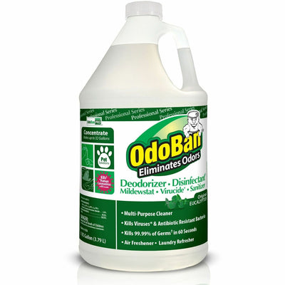 Clean Control OdoBan Eucalyptus Multi-purpose Deodorizer Disinfectant Concentrate, Green, ODO911062-G4