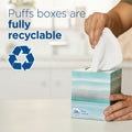 Procter & Gamble Puffs Plus Lotion Facial Tissues, White, 4 / Pack, PGC34899