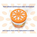 BPG International Bright Air Super Odor Eliminator Air Freshener, Orange, 6 / Carton, BRI900013CT