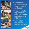 The Clorox CloroxPro™ Anywhere Daily Disinfectant and Sanitizer, Clear, 12 / Carton, CLO01698CT