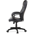 The Raynor Group Eurotech Pembroke Mid Back Executive Chair, EUTLE521