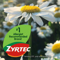 Johnson & Johnson Consumer . Zyrtec Allergy Tablets, 30 / Card, JOJ20436