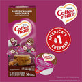 Nestle Professional Coffee mate Salted Caramel Chocolate Nondairy Liquid Creamer Singles, 50 / Box, NES77197