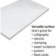 Pacon Tagboard, 1 Pack