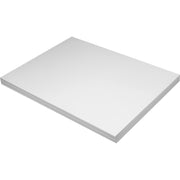 Pacon Tagboard, 1 Pack