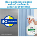 The Clorox Company Clorox Healthcare Hydrogen Peroxide Cleaner Disinfectant Spray, Clear, CLO30828