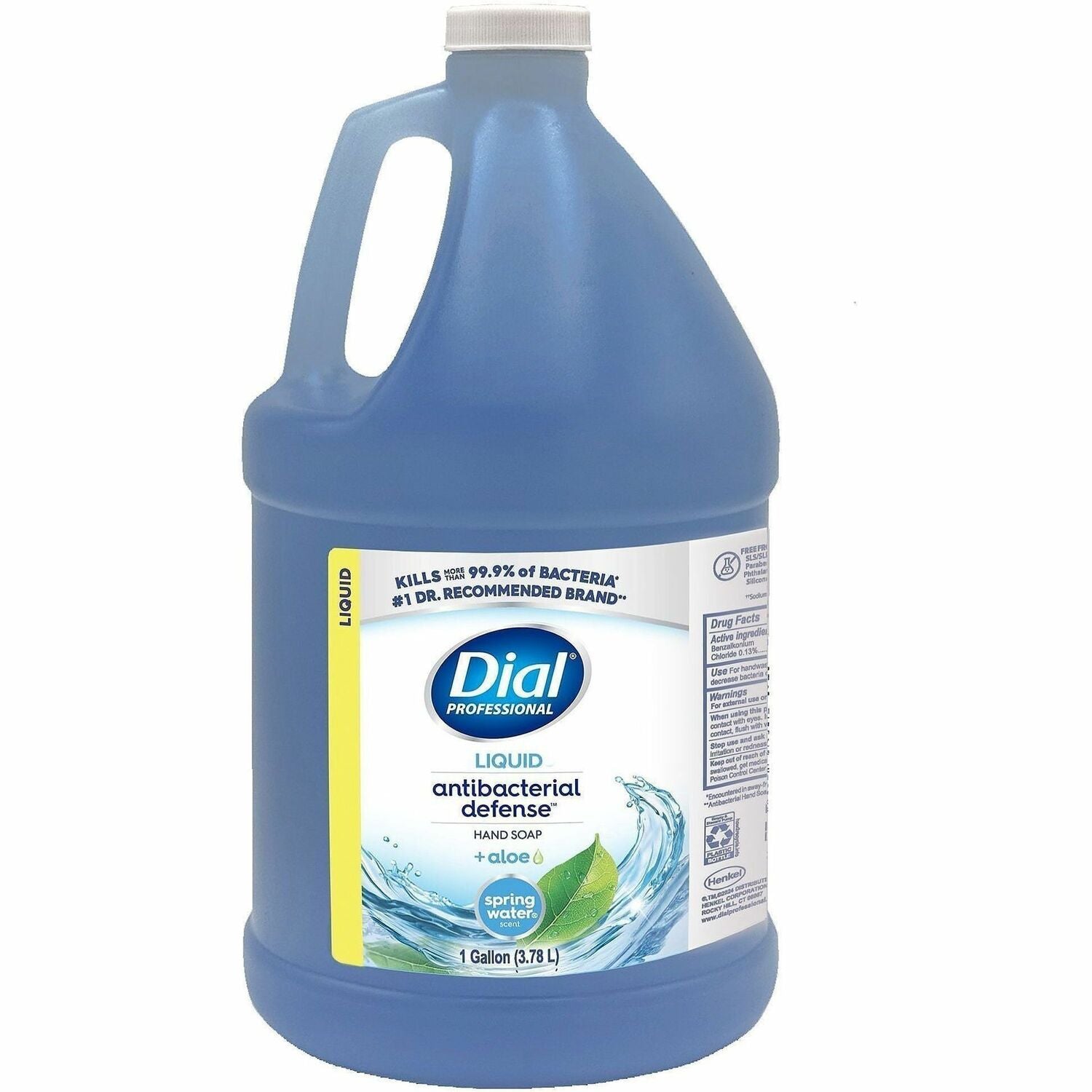 Dial Spring Water Scent Liquid Hand Soap, 1 Each