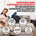 Honeywell HEPA Air Purifier R Filter, White, HWLHRFR1