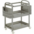 Lorell Mobile File Cart, Champagne Gold, LLR45654