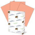 International Paper Company Hammermill Colors Recycled Copy Paper - Salmon, 8 1/2" x 11", 10 / Carton, HAM103119CT