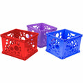 ERA Group Storex Premium Storage Case, Assorted Bright, 1 Carton, STX61797U03C