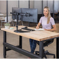 Fellowes Professional Series Dual Horizontal Monitor Arm, Black, FEL8043701