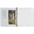 Business Source Sheet Protectors, Clear, 8 1/2" Width x 11" Length, 5 / Carton, BSN16511CT