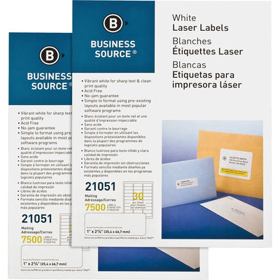 Business Source Bright White Premium-quality Address Labels, 2 / Carton — view 1