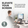 Fellowes Standard Monitor Riser, Black, 4 / Carton, FEL9169301