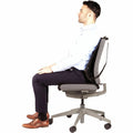 Fellowes Office Suites Mesh Back Support, Black, FEL9191301