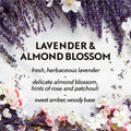 Reckitt Benckiser plc Air Wick Essential Mist Scented Diffuser Oil Refill, Multicolor, RAC98552