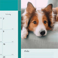 Dominion Blueline Blueline Man's Best Friend Dogs Desk Pad Calendar, 22", REDC194116