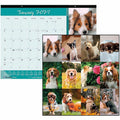 Dominion Blueline Blueline Man's Best Friend Dogs Desk Pad Calendar, 22", REDC194116